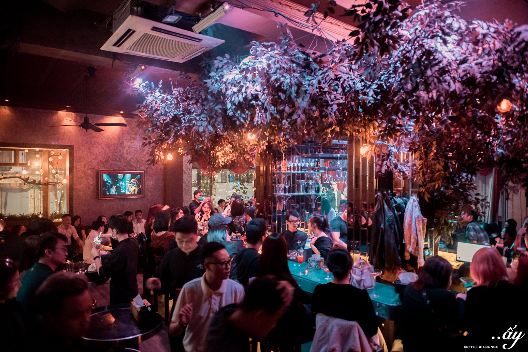 phòng trà ở hà nội ấy lounge