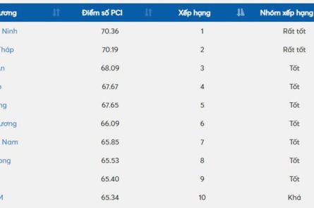 BXH-chi-so-PCI-top-10