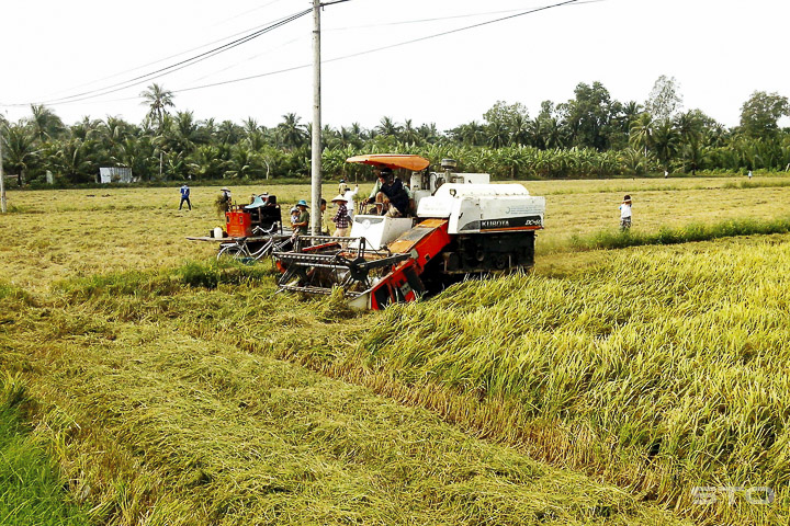 cách làm giàu ở nông thôn