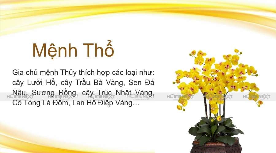 Cây Mệnh Thổ