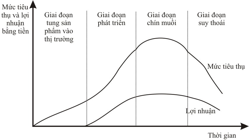 chu kỳ sống của sản phẩm