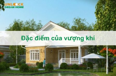 Đặc điểm nổi bật của vượng khí