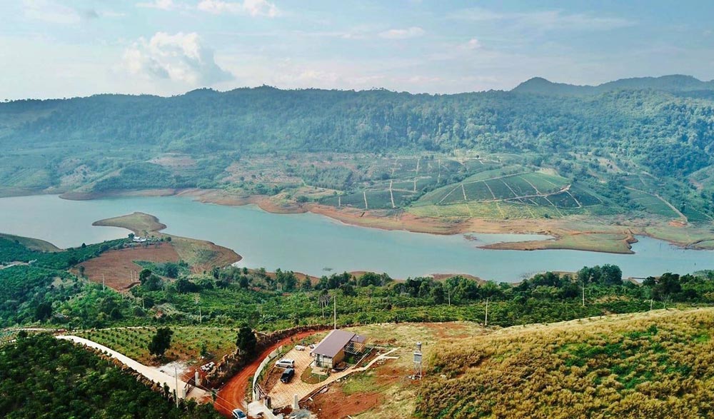 dau tu dat sao mau bao loc vi thich hay loi nhuan