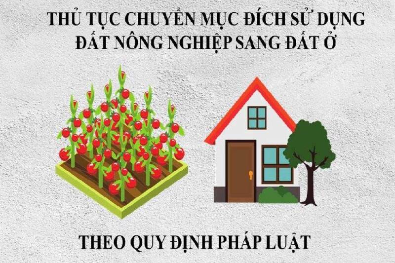 Thủ tục chuyển đổi