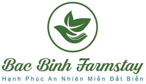 LOGO BAC BINH FINAL