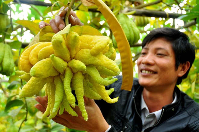 mặt hàng độc lạ bán chạy nhất ngày tết