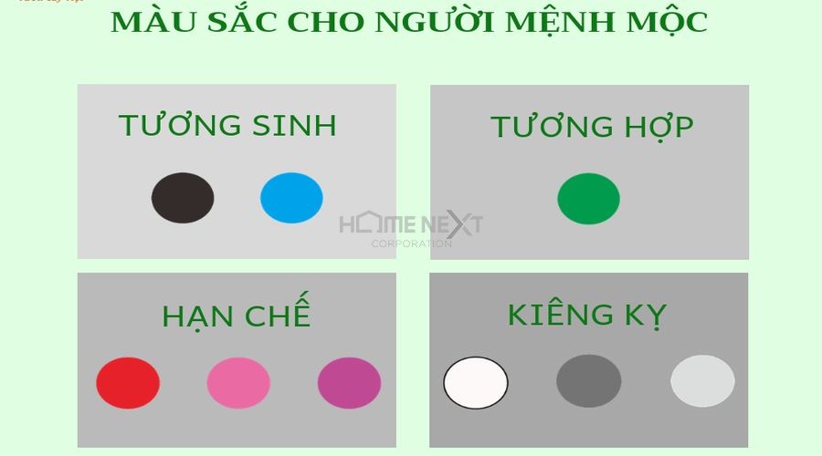 Màu sắc cho người mệnh Mộc