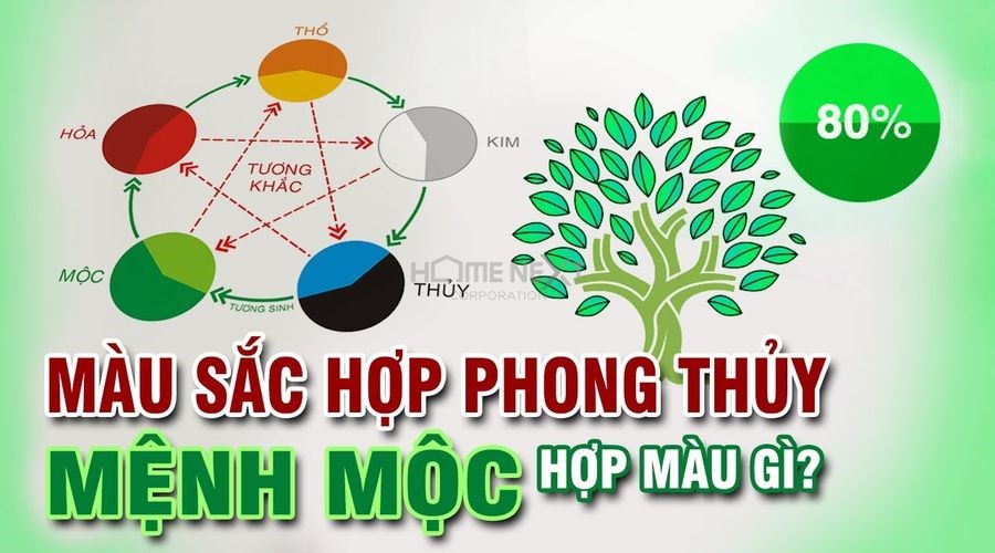 Màu sắc hợp mệnh Mộc