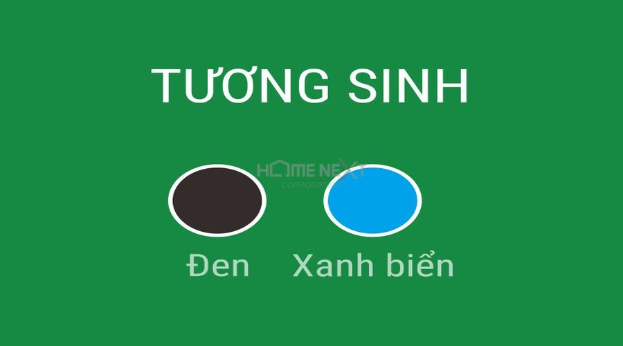 Màu sắc tương sinh như Đen và Xanh