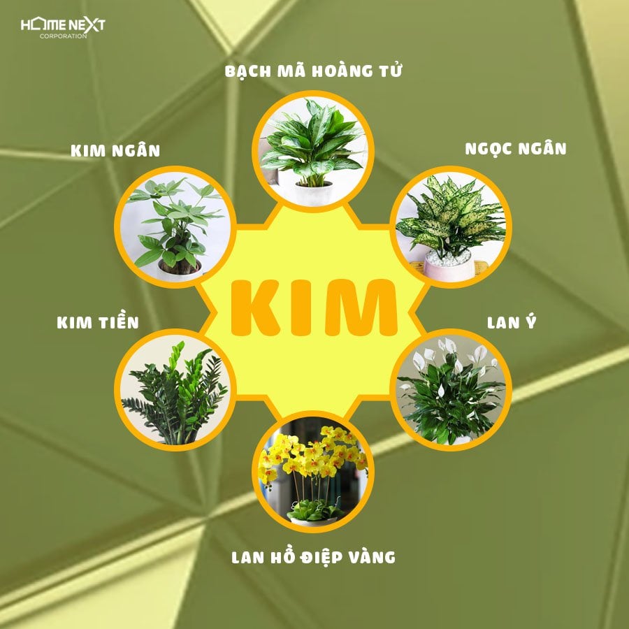 Một số cây thuộc mệnh Kim