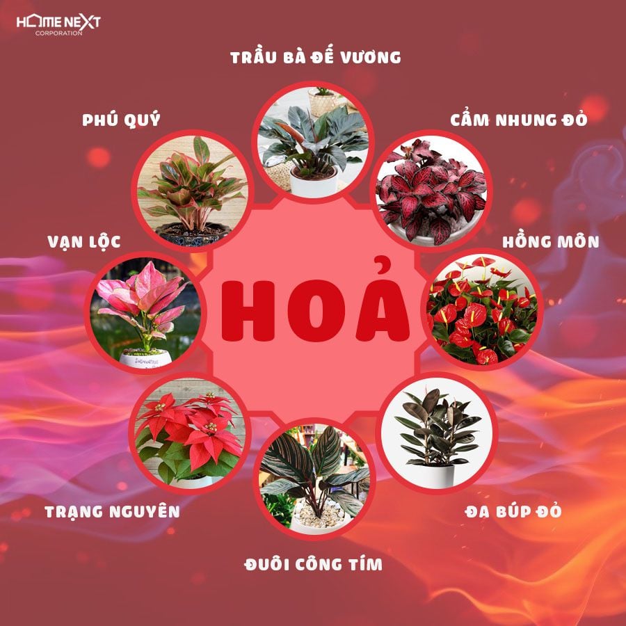 Một vài loại cây cho mệnh Hoả