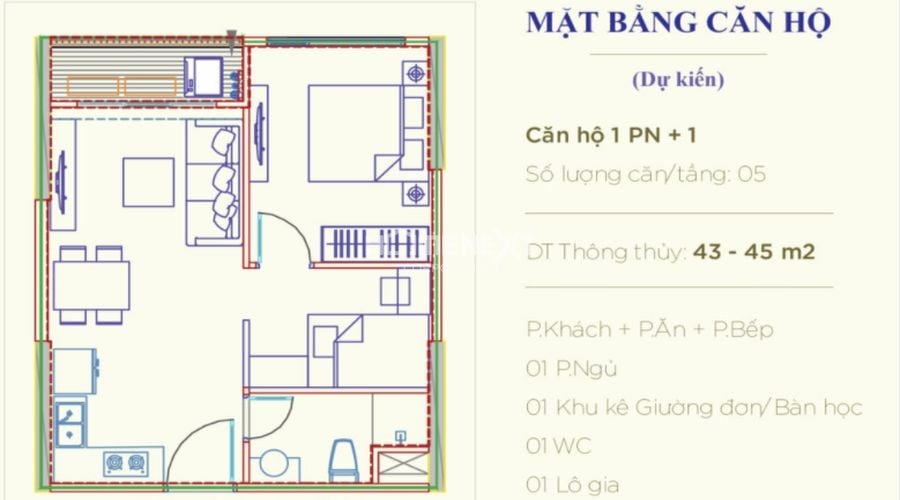 Tìm hiểu bố cục căn hộ thông qua bản vẽ