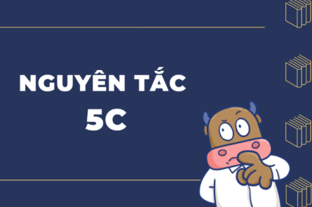 Nguyên tắc 5C là gì?