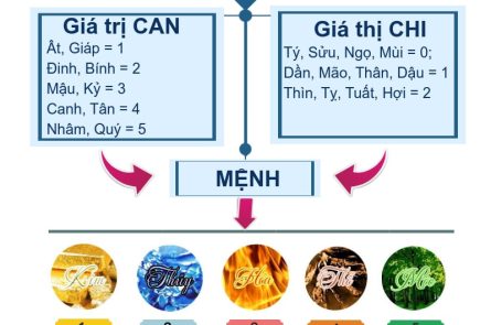 giá trị can chi