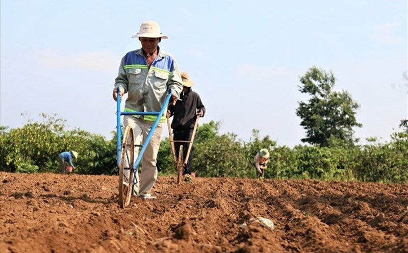 Điều kiện chuyển từ đất nông nghiệp sang đất ở